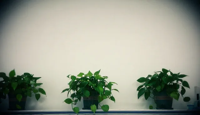 技术开发性能优化中的使用误区与检查要点